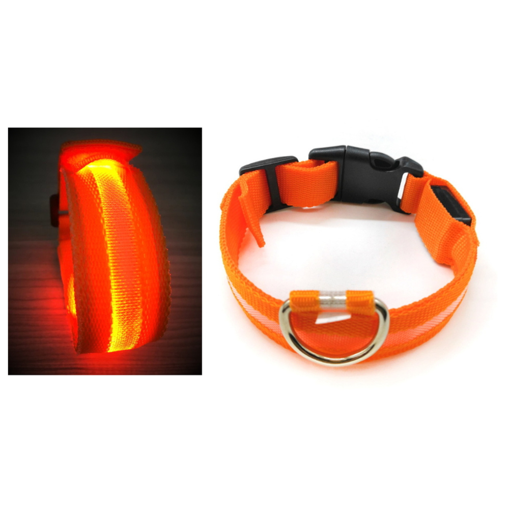 LED-Hundehalsband mit Licht, Größe S