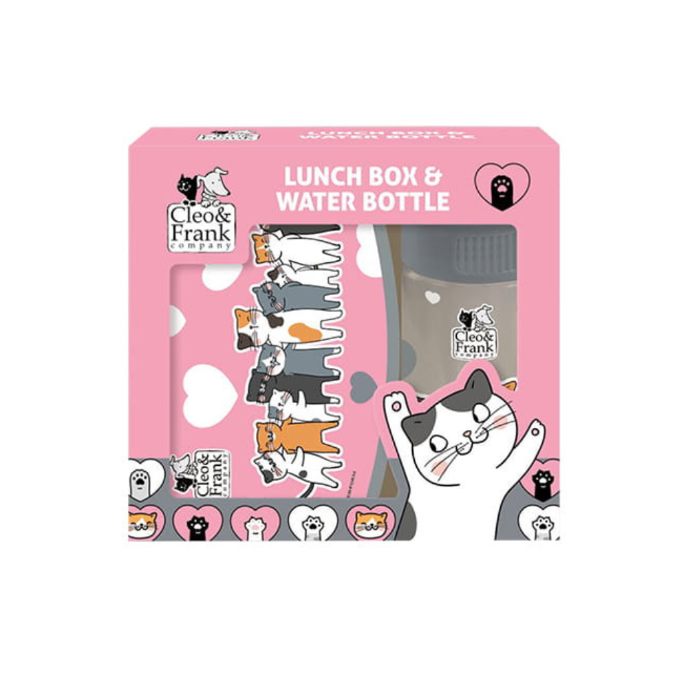 2er-Set Kinder Lunchbox + Wasserflasche