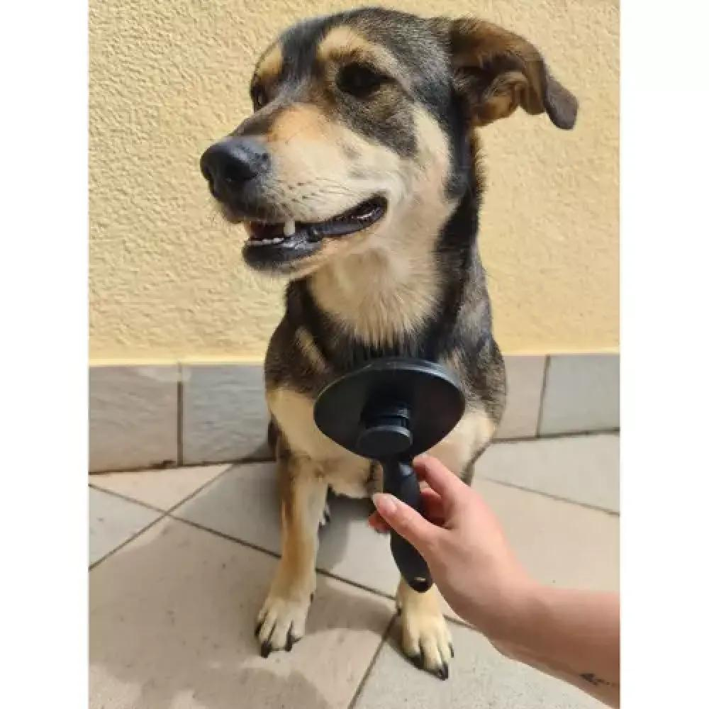 Selbstreinigende Haarbürste für Tiere