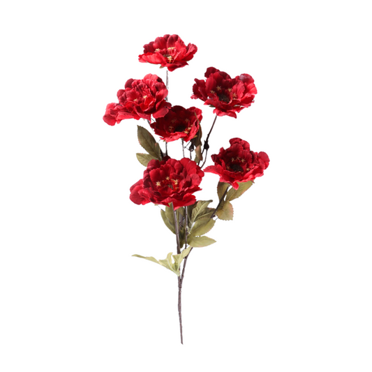 Blume Pewonina holzig rot - 83 cm