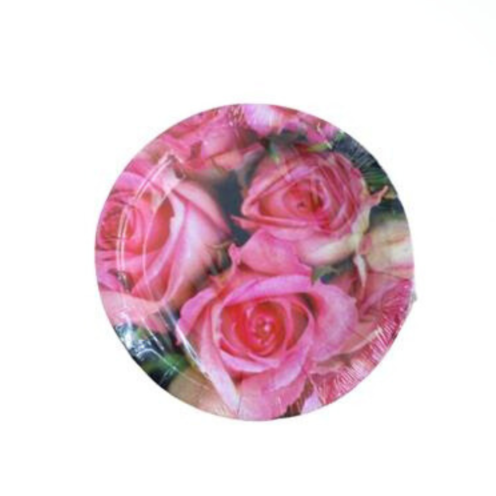 8 Stk. Pappteller 18,5cm