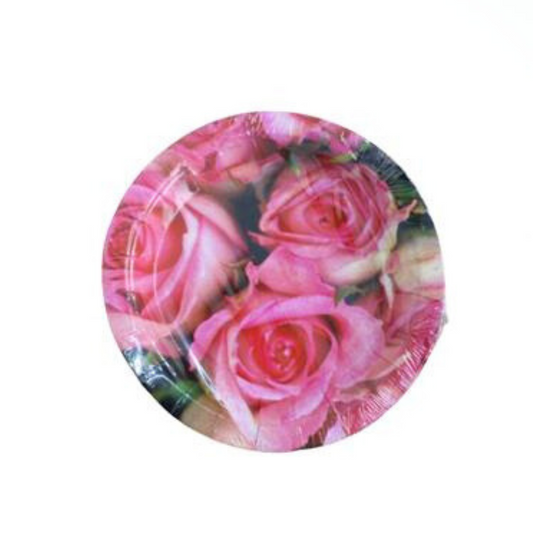 8 Stk. Pappteller 18,5cm
