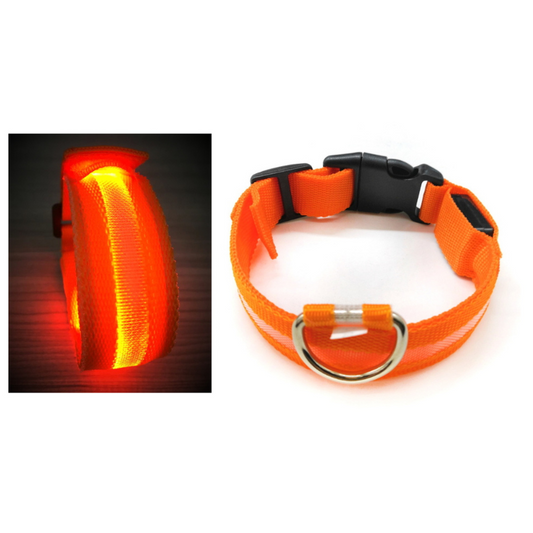 LED-Hundehalsband mit Licht, Größe S