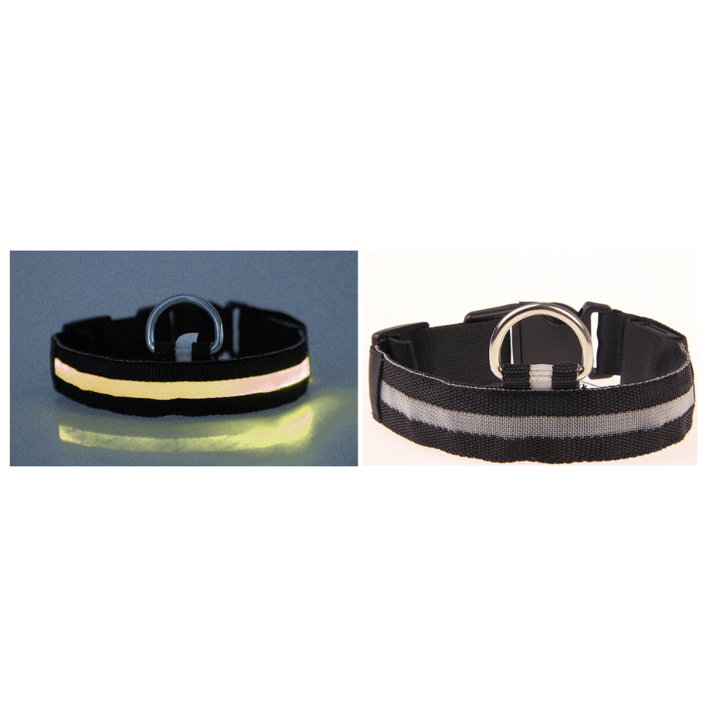 LED-Hundehalsband mit Licht, Größe M